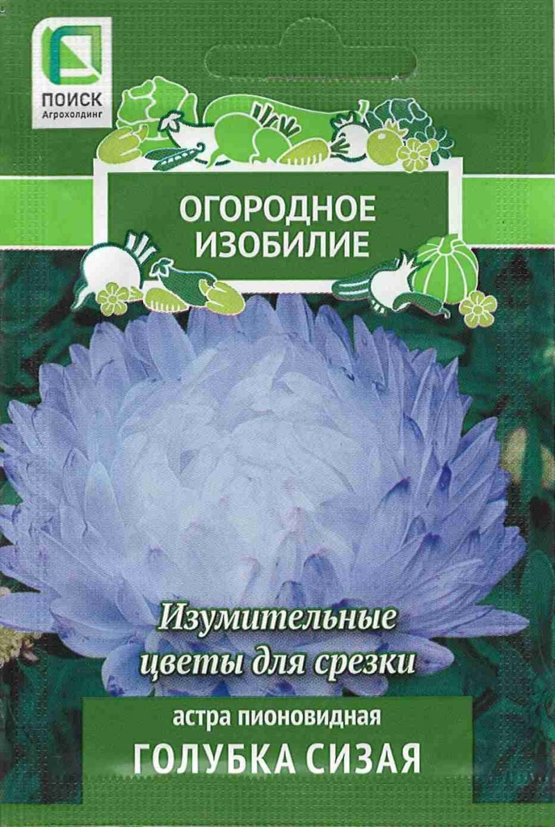 Заставка на телефон голуби