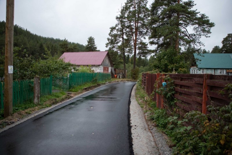 Бурый медведь в Карелии