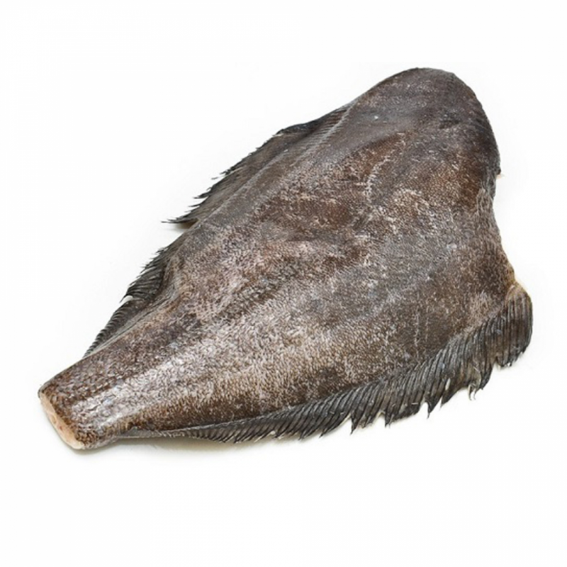 Камбала sole