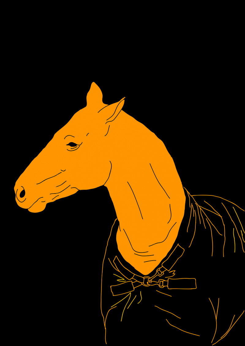 Желтая лошадка. Желтая лошадь. Лошадь на желтом фоне. Лошадка иллюстратор.
