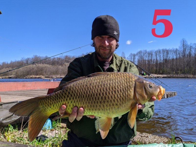 Карп Fishing