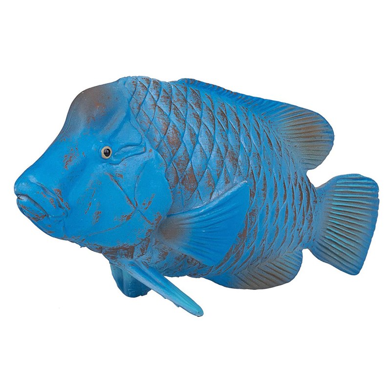 Eastern Blue Groper