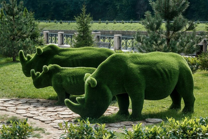 Крупное африканское животное