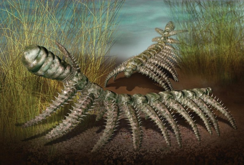 Артроплевра (Arthropleura)