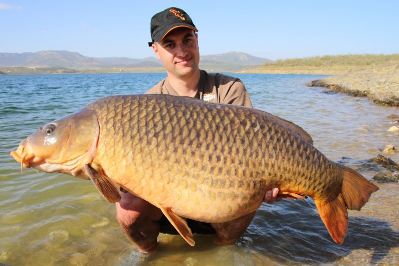 Сазан (Cyprinus Carpio)