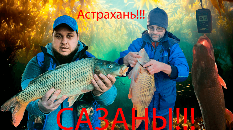 Морской сазан Каспийское море