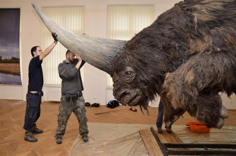 Сибирский Единорог (Elasmotherium)