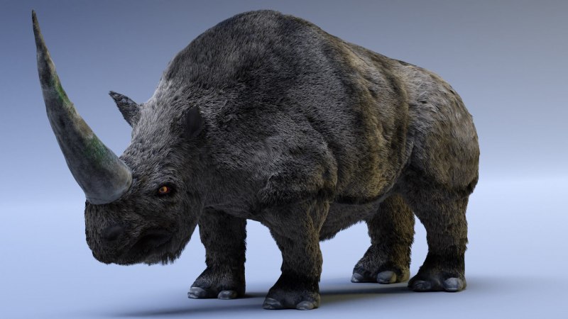 Сибирский Единорог (Elasmotherium)