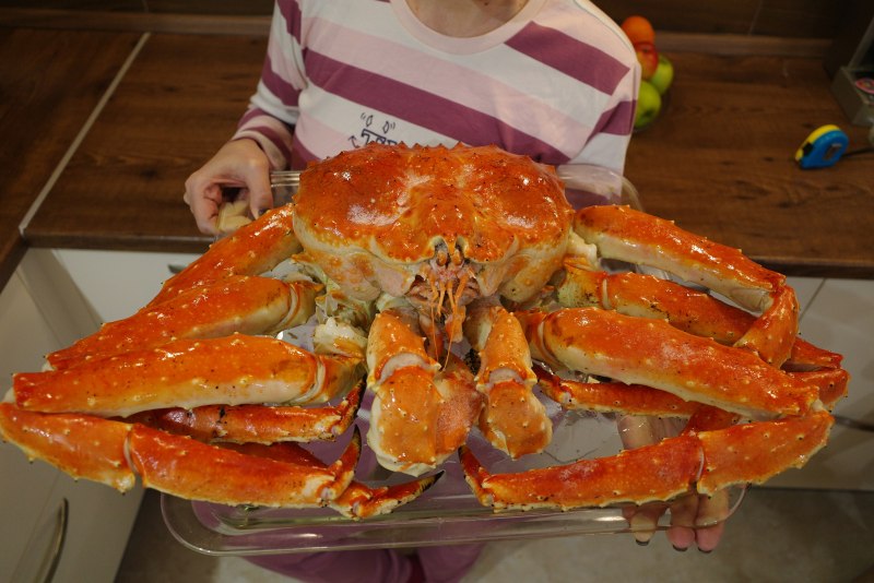 Камчатский Королевский краб