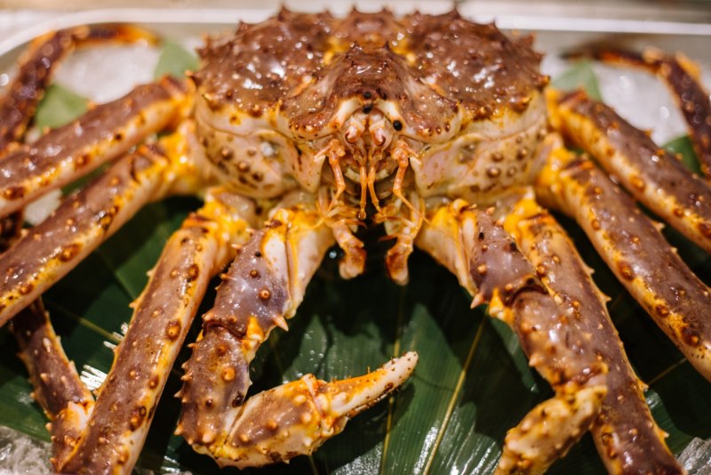 Аляскинский Камчатский краб