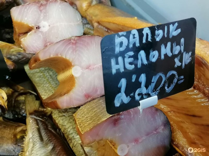 Северная рыба экспонат