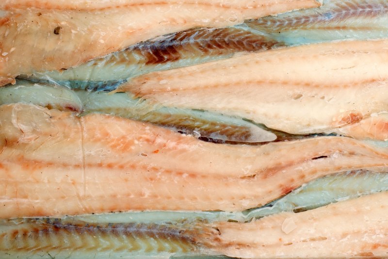 Минтай (Theragra chalcogramma)