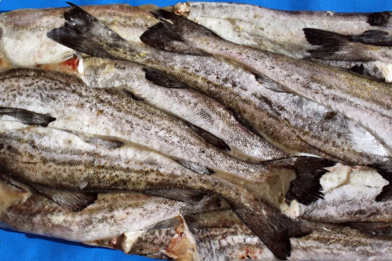 Минтая Alaska Pollock