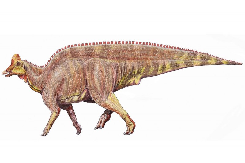 Hadrosaurus foulkii
