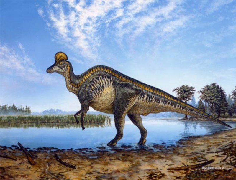 Jurassic World Коритозавр