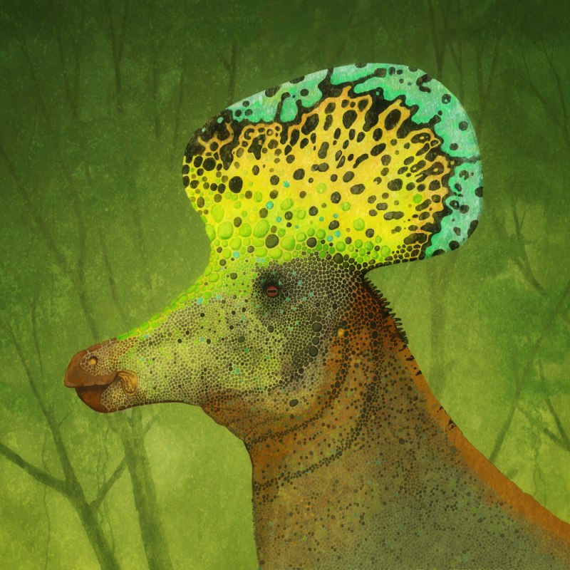 Sauroniops pachytholus
