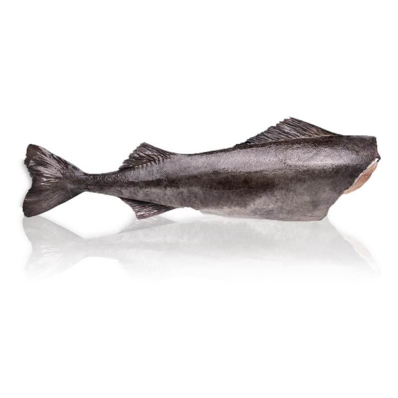 Black Cod рыба