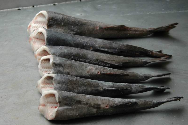 Black Cod рыба