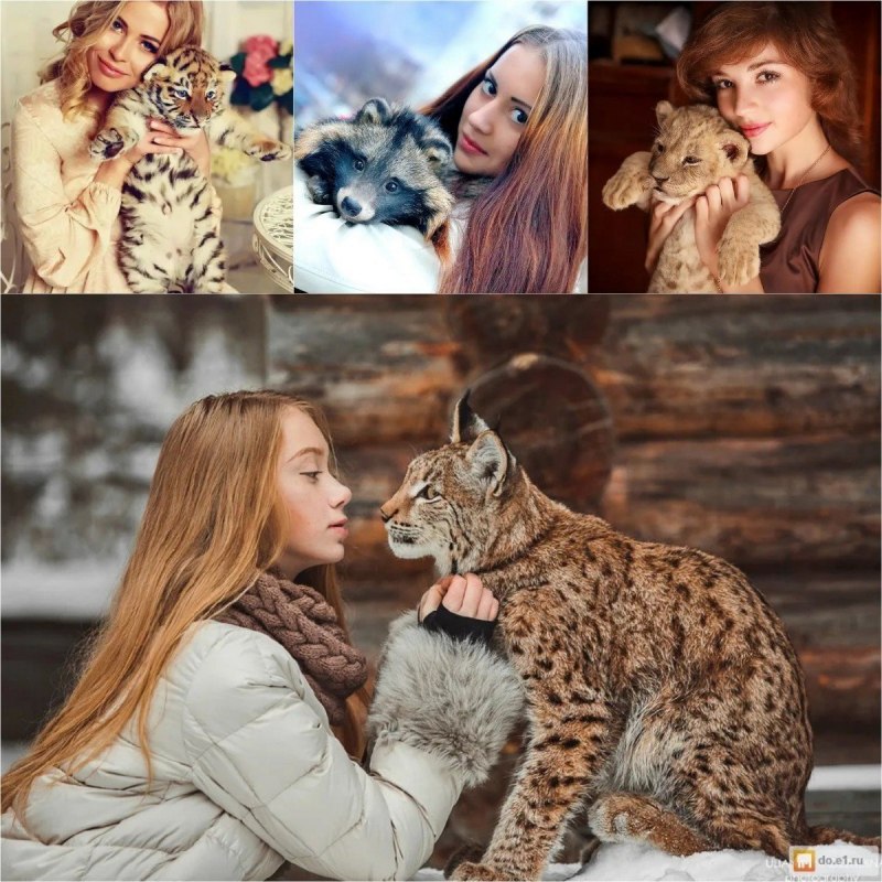 Каракал домашний Шлепа