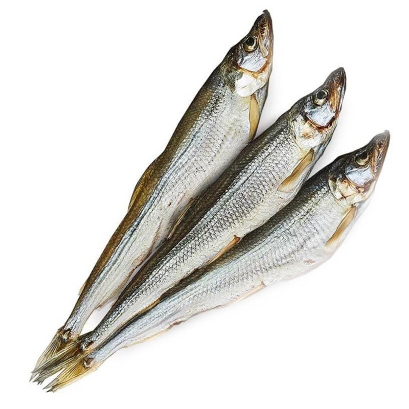 Корюшка Балтийская