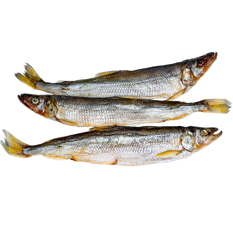 Байкальская корюшка