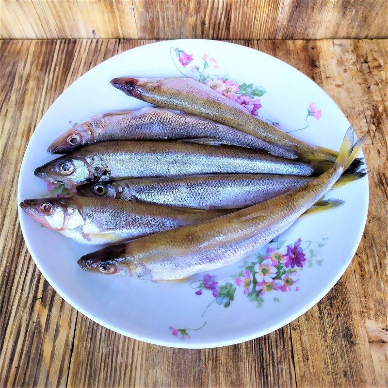 Корюшка Сибирская