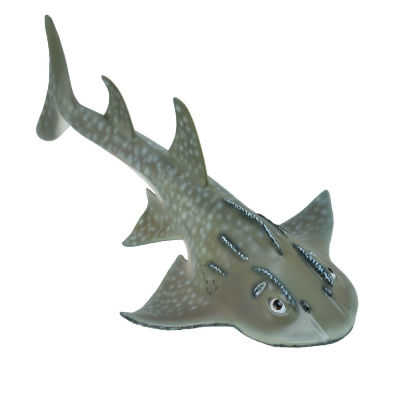 Bowmouth guitarfish
