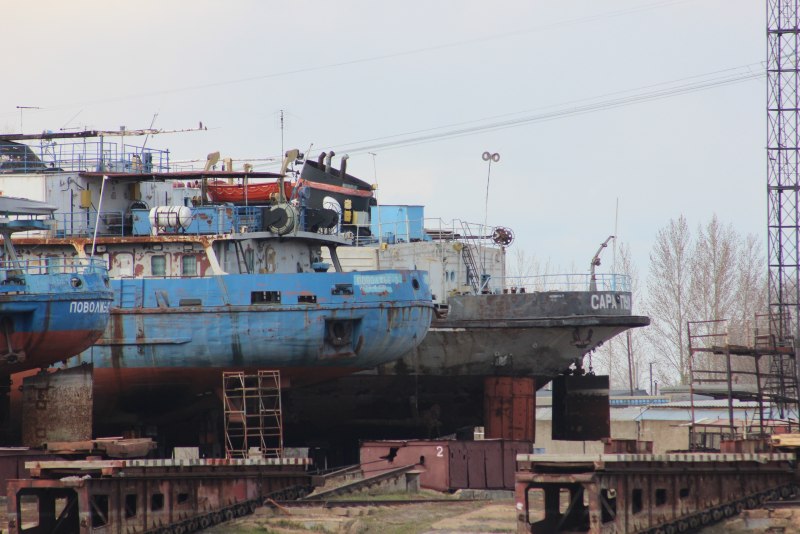 Таймень рыба