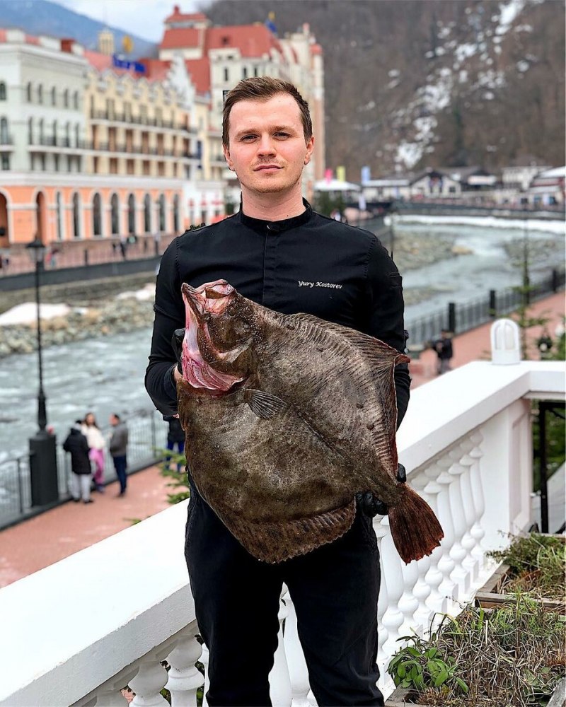 Морская камбала
