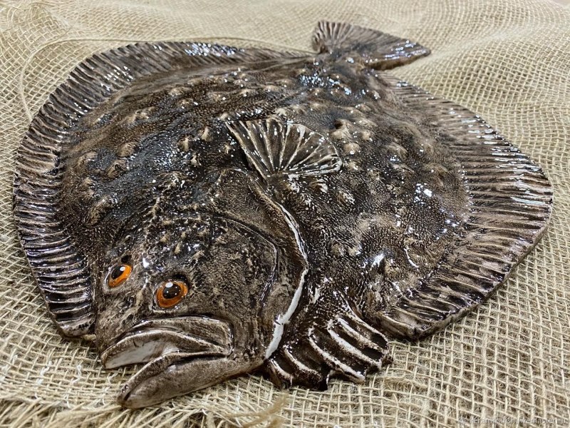 Камбала Черноморская