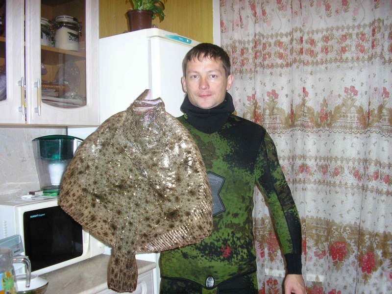Тюрбо Калкан рыба