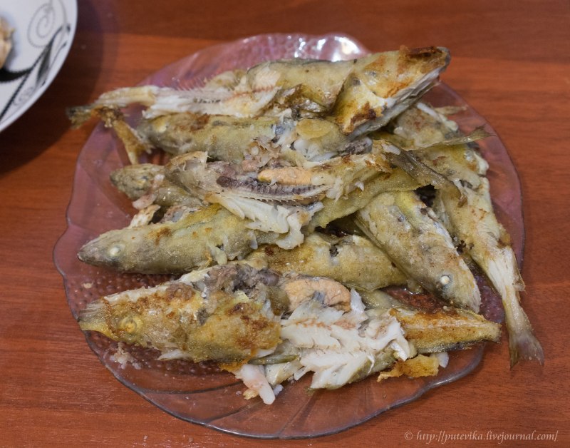 Хек серебристый