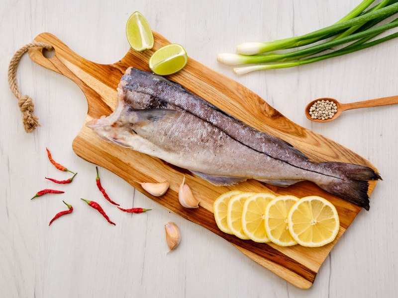 Рыба Песчаная морская большая