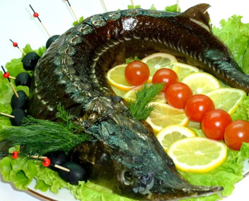 Царская рыба стерлядка