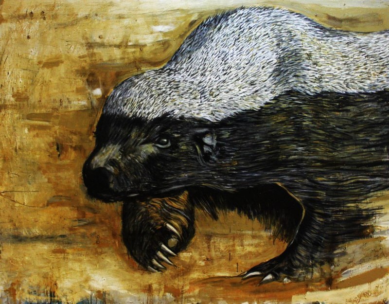 Honey Badger медоед