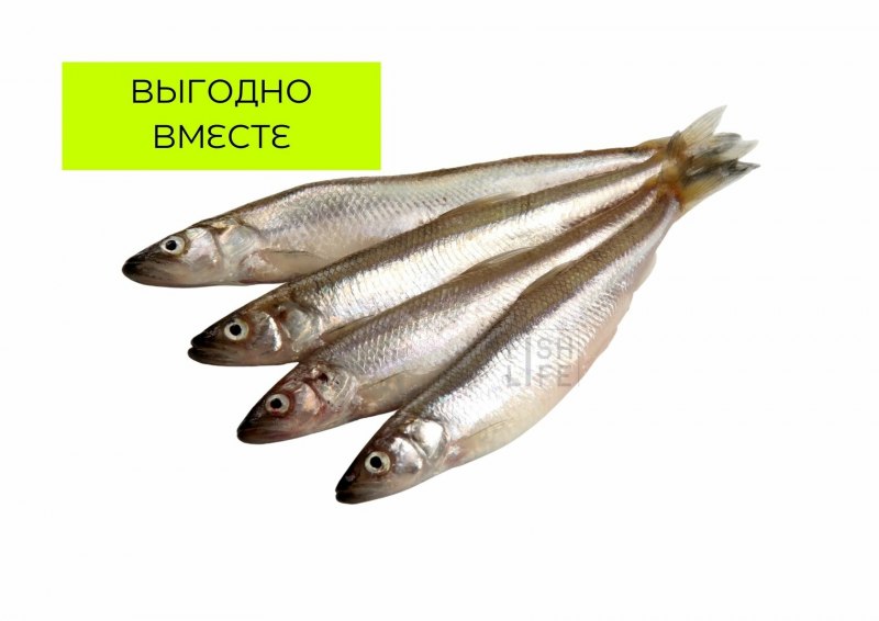 Корюшка Камчатская вяленая
