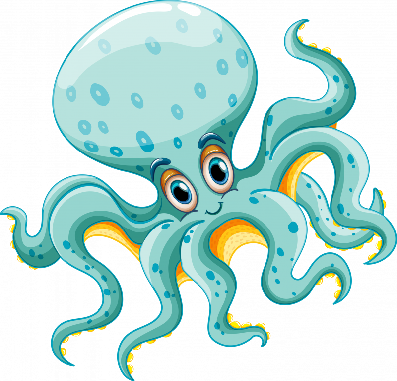 Bambibrat Octopus
