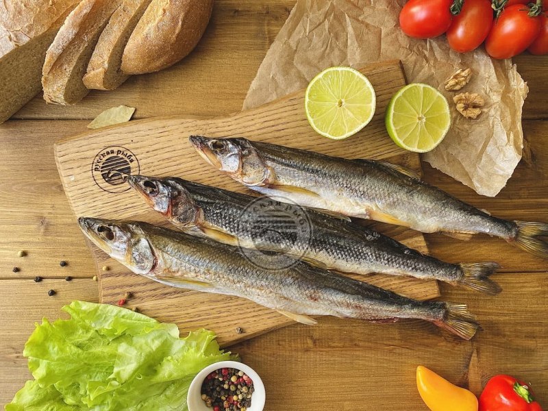 Морская малоротая корюшка
