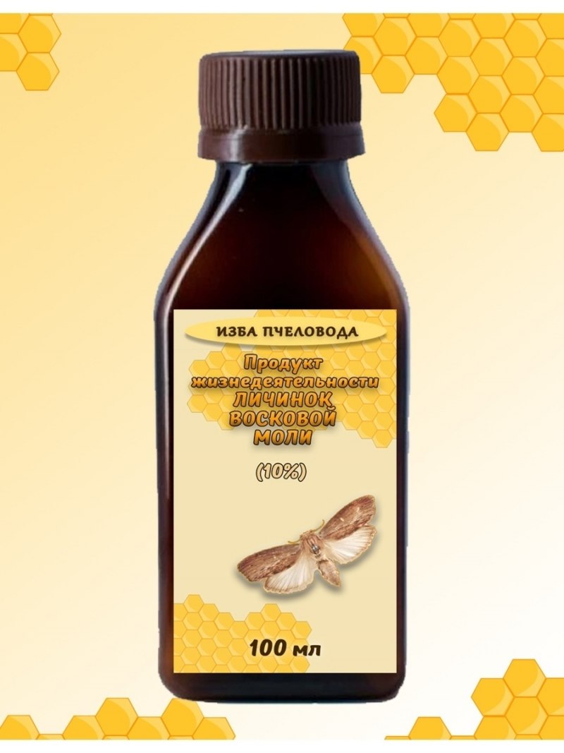 Большая восковая моль Galleria mellonella