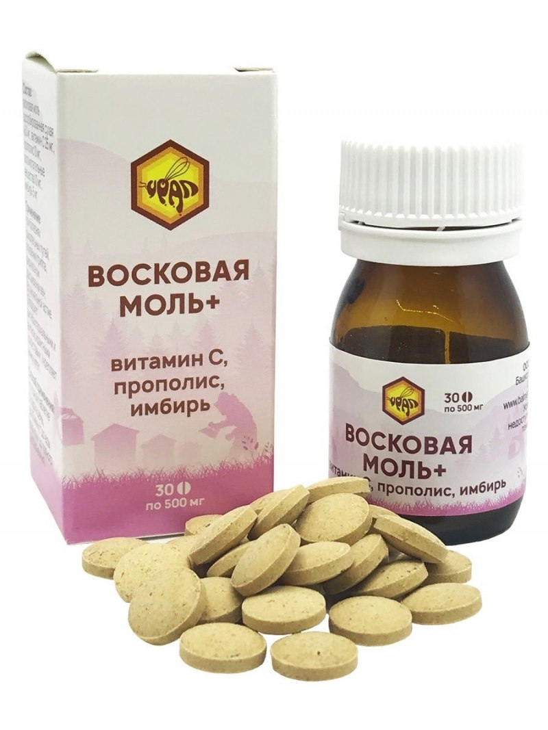 Личинки большой восковой моли Galleria mellonella