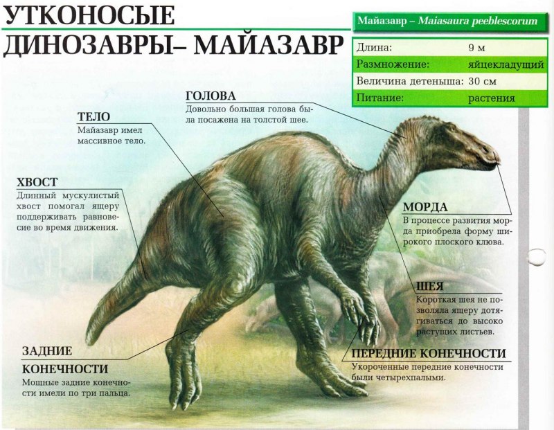 Safari Ltd динозавры Карнеги