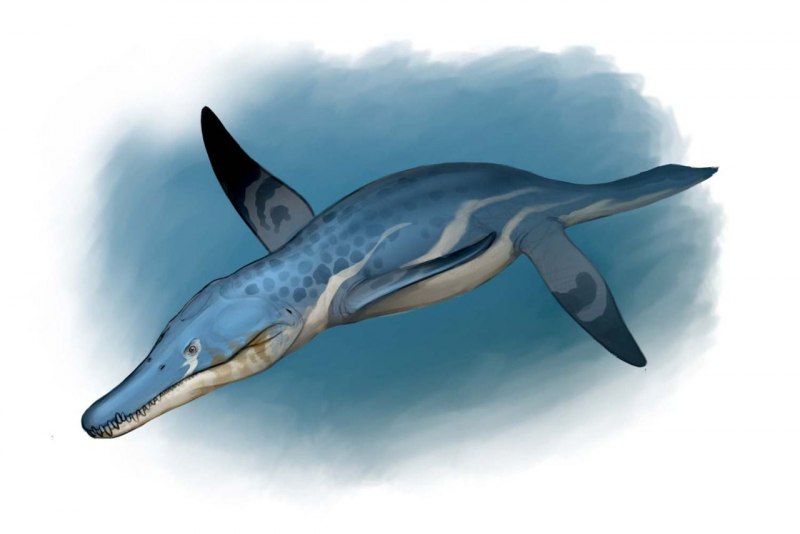 Ancient Sea Monsters from the point of view of Science