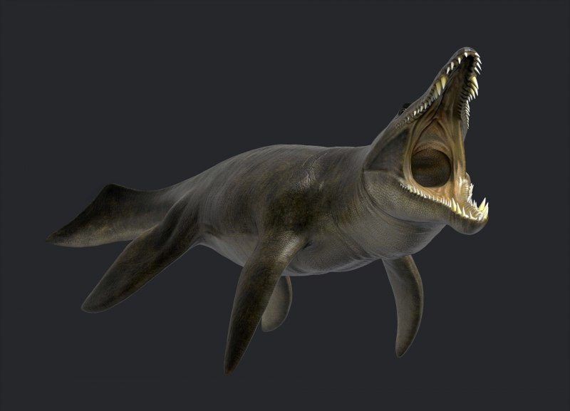 Kronosaurus Boyacensis