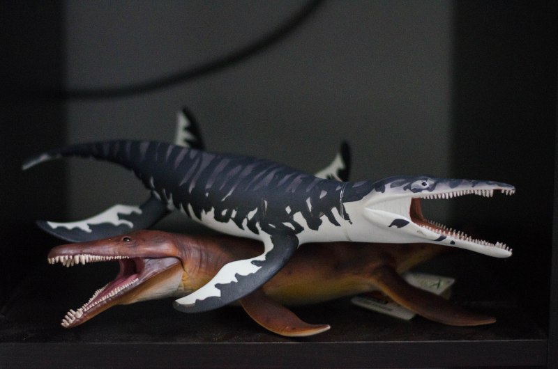 Морские динозавры Kronosaurus