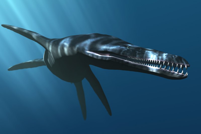 Морские динозавры Kronosaurus