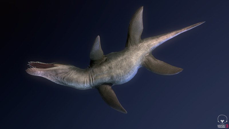 Mosasaurus Conodon