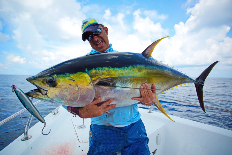 Длиннопёрый тунец Thunnus Alalunga