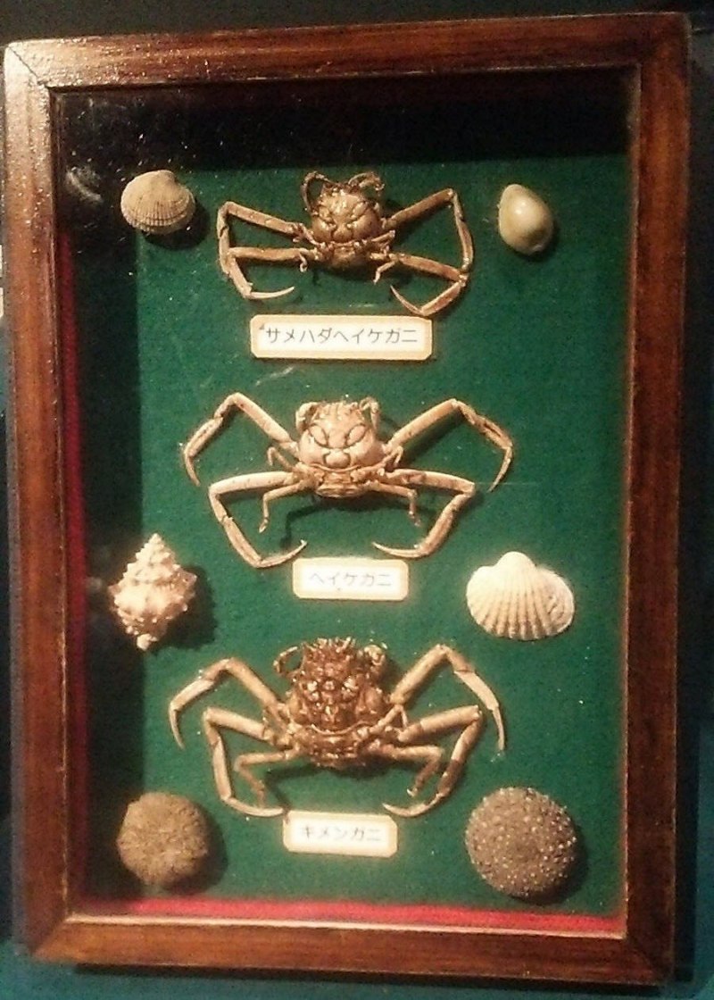 Краб Хеикегани