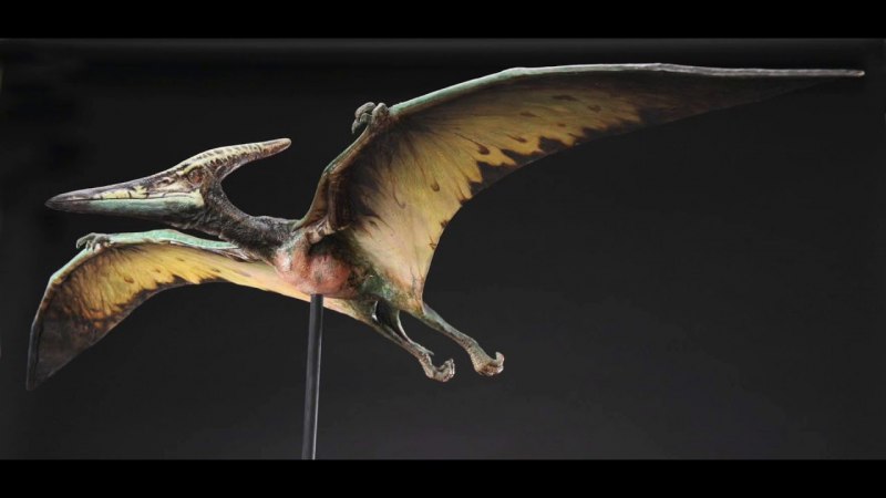 Динозавра Caudipteryx