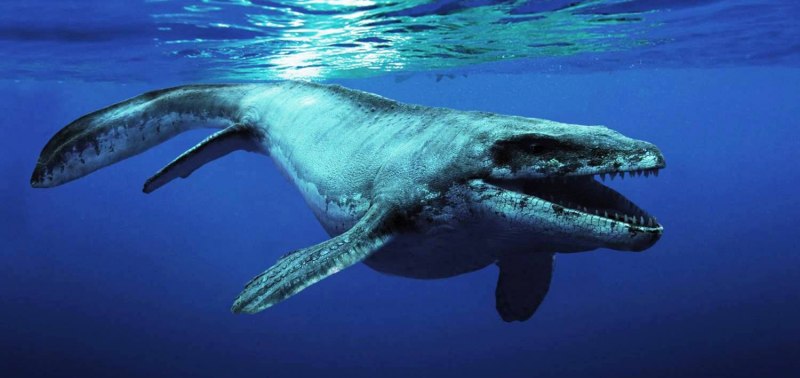 Морские динозавры Kronosaurus
